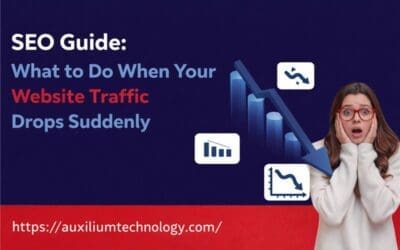 Home - Digital Marketing Agency 64 Seo Guide: What To Do When Your Website Traffic Drop Suddenly